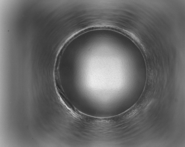 X0000072520943200607290155