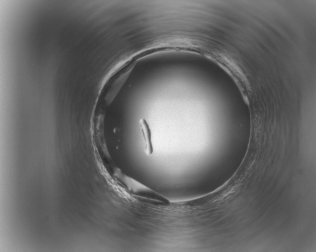 X0000072520944200607290155