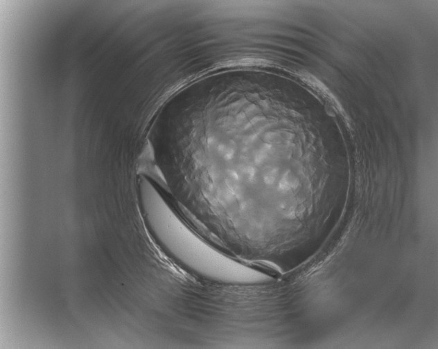 X0000072520945200607290155