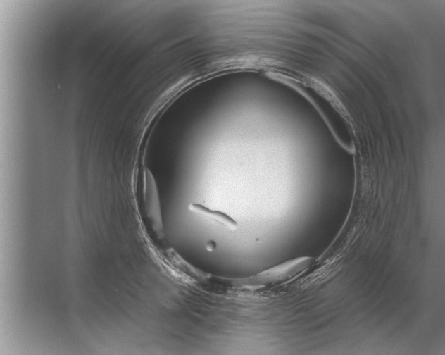 X0000072520946200607290155