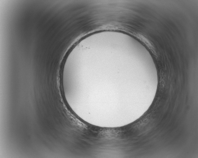 X0000072520950200607290155