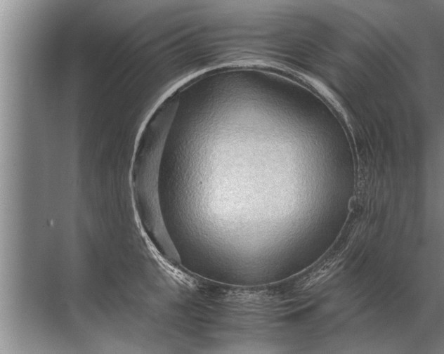 X0000072520951200607290155