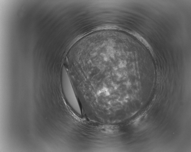 X0000072520953200607290155