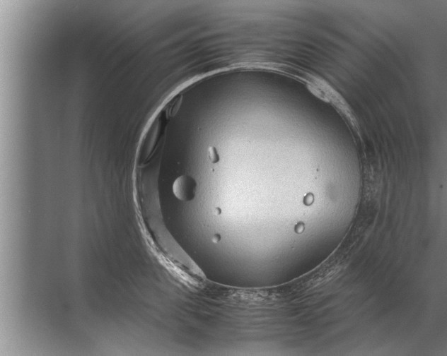 X0000072520955200607290155