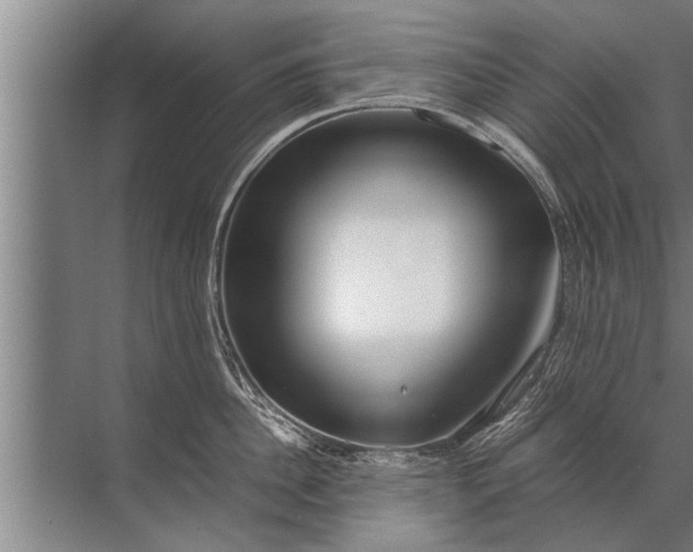 X0000072520956200607290155