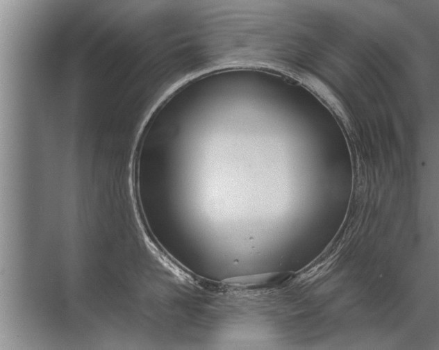 X0000072520958200607290155