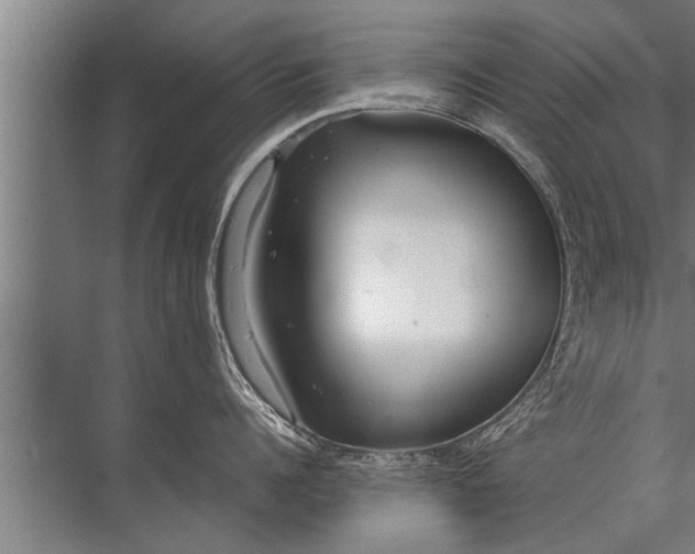 X0000072520960200607290155