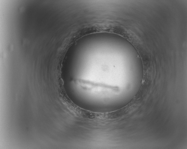 X0000072520961200607290154