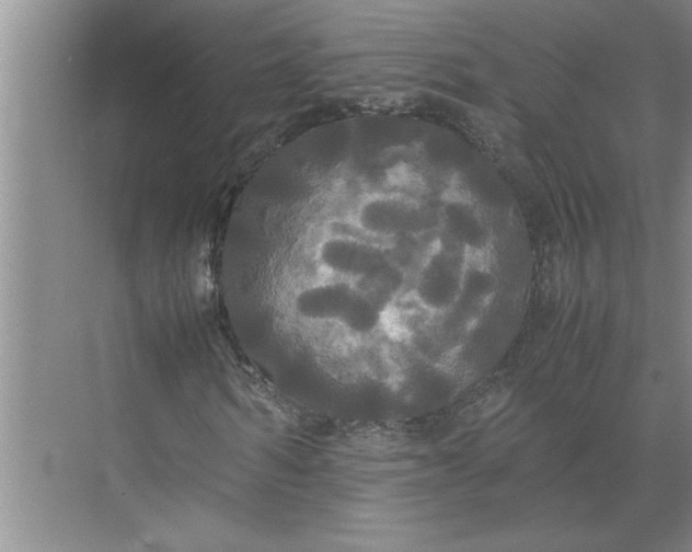 X0000072520962200607290154