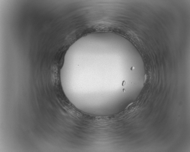 X0000072520964200607290154