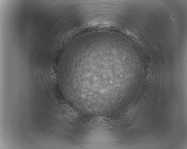 X0000072520966200607290154