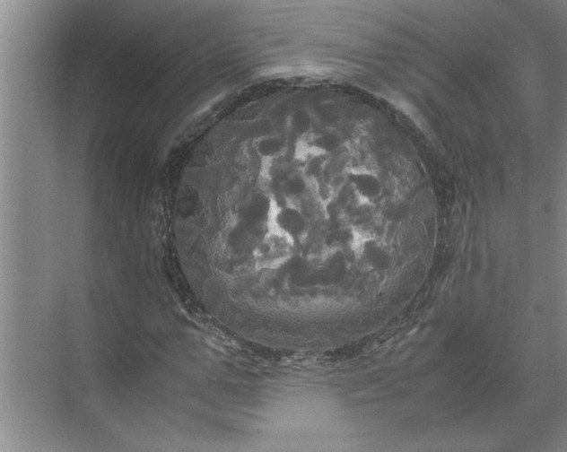 X0000072520967200607290154