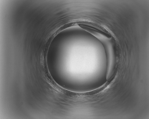 X0000072520969200607290154