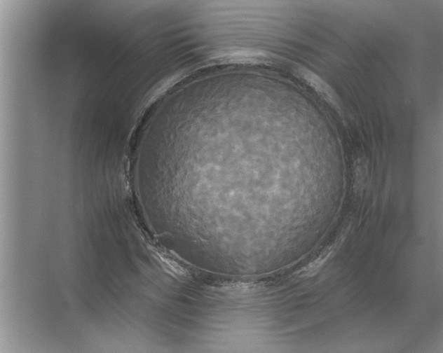 X0000072520970200607290154