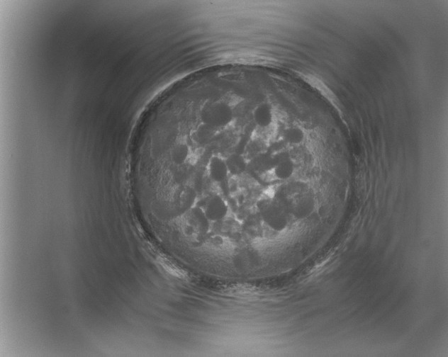 X0000072520971200607290154