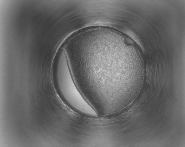 X0000072520972200607290154