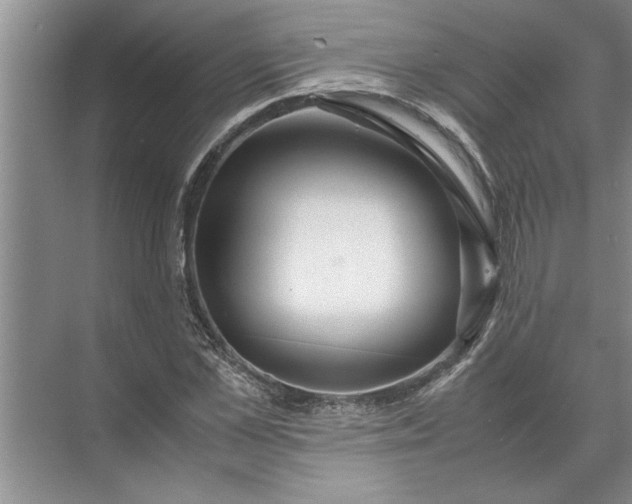 X0000072520973200607290154