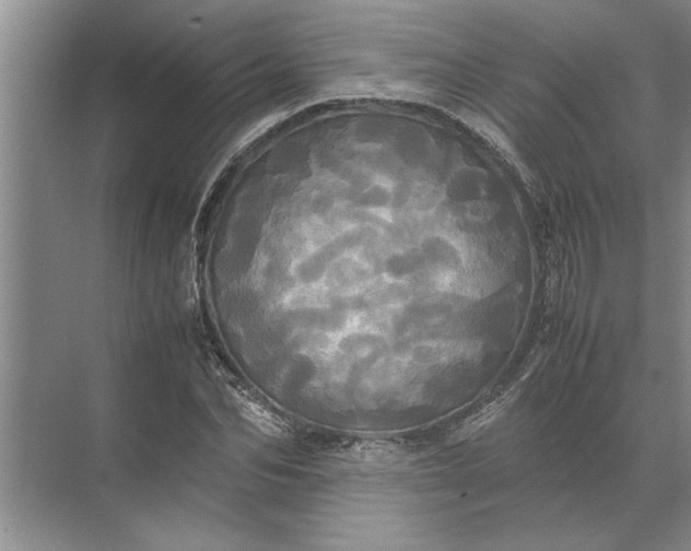 X0000072520974200607290154