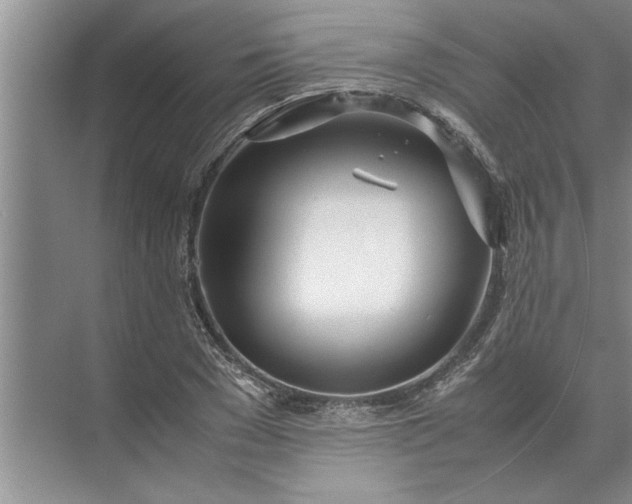 X0000072520977200607290154