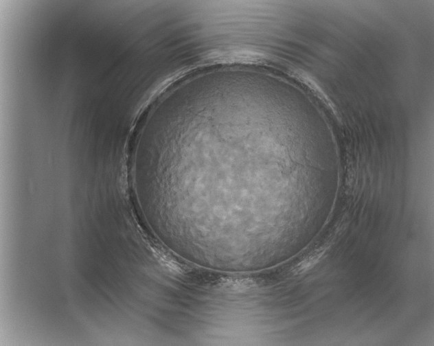 X0000072520978200607290154