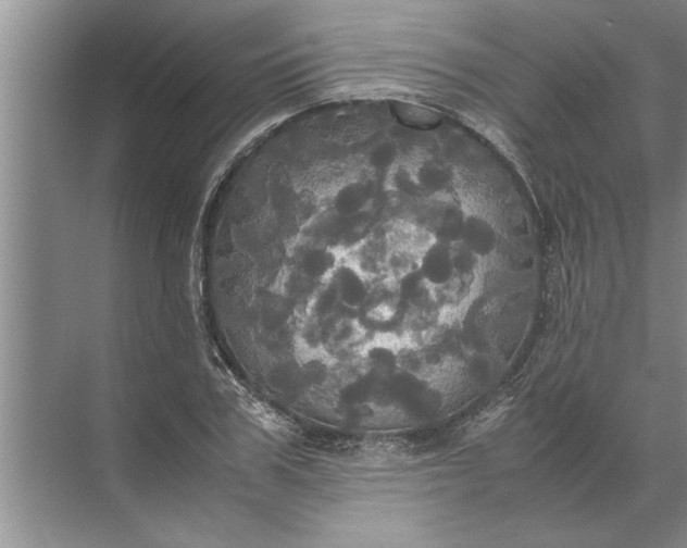 X0000072520979200607290154