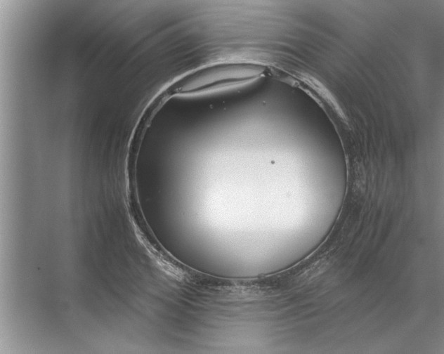 X0000072520980200607290154