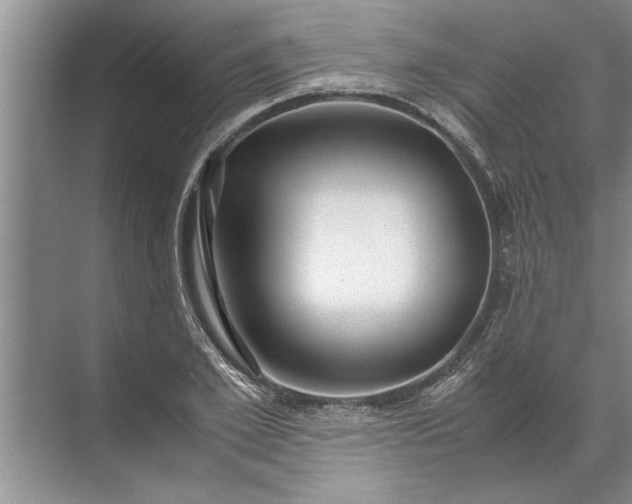 X0000072520981200607290154