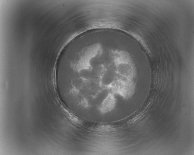 X0000072520982200607290154