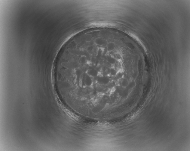 X0000072520983200607290154