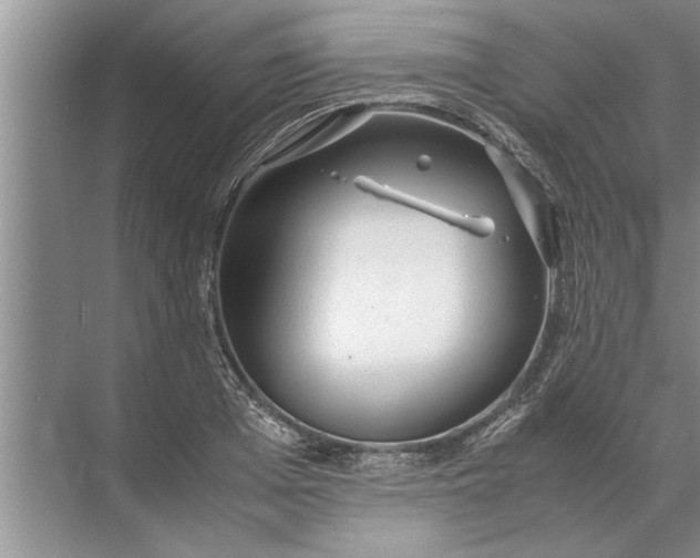 X0000072520985200607290154