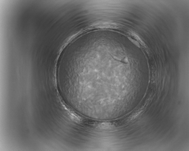 X0000072520986200607290154