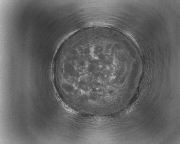 X0000072520987200607290154