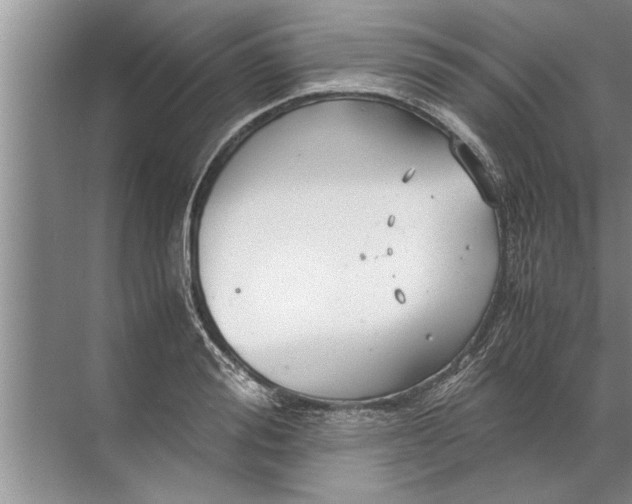 X0000072520988200607290154