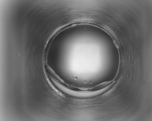 X0000072520989200607290154