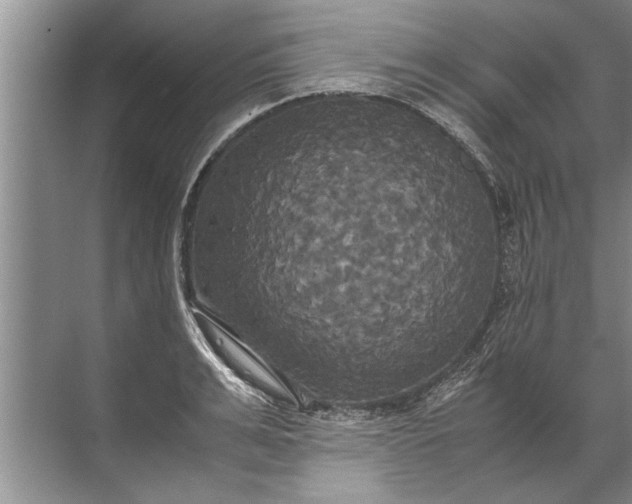 X0000072520991200607290154