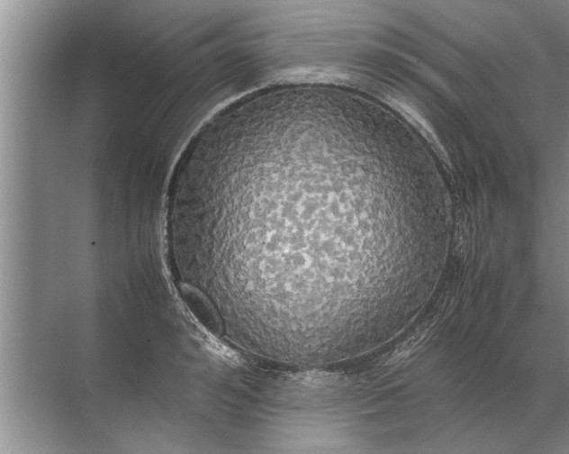 X0000072520992200607290154