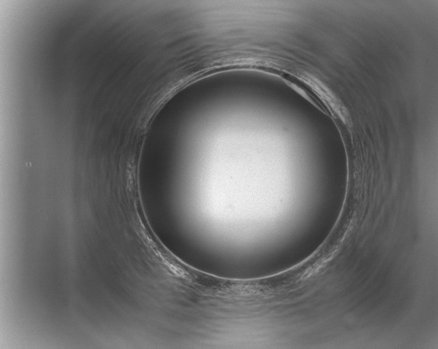 X0000072520993200607290153