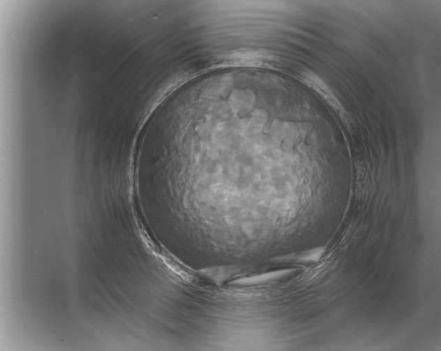 X0000072520994200607290153