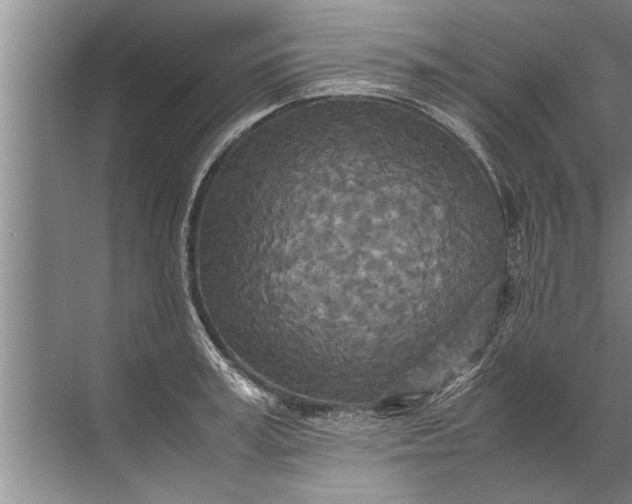 X0000072520995200607290153