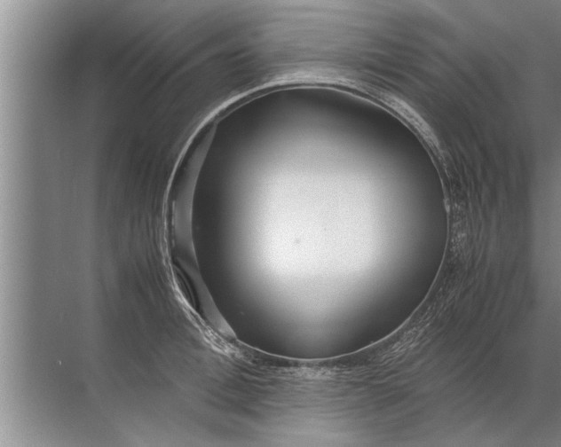 X0000072520996200607290153