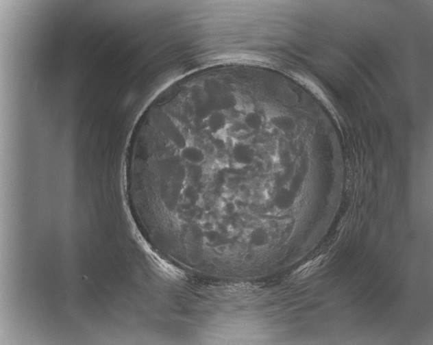 X0000072520999200607290153