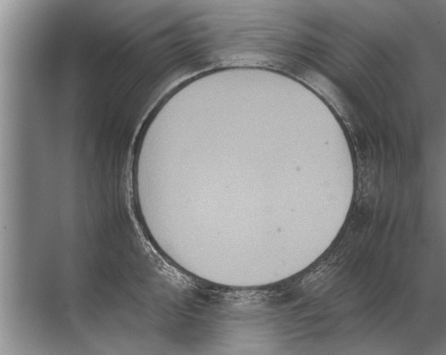 X0000072521000200607290153