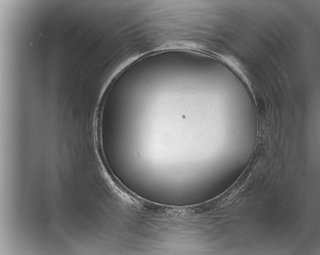 X0000072521003200607290153