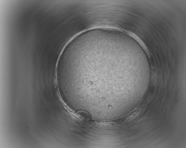 X0000072521004200607290153