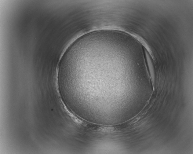 X0000072521006200607290153