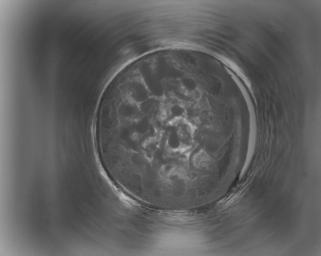 X0000072521007200607290153