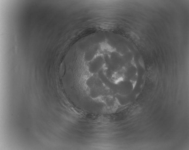 X0000072521009200607290152