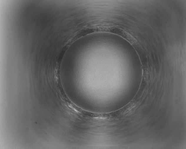 X0000072521010200607290152