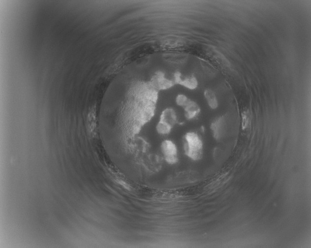 X0000072521011200607290152