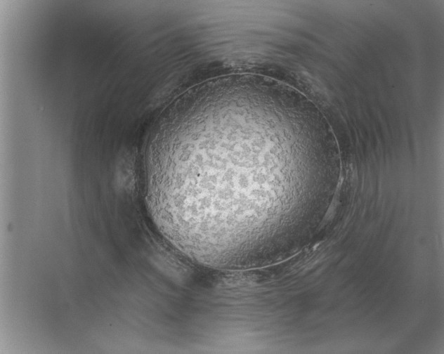 X0000072521012200607290152